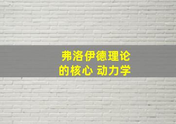 弗洛伊德理论的核心 动力学